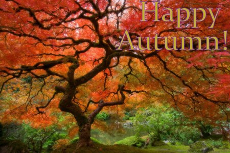 autumn-scene-wallpaper-7-717781